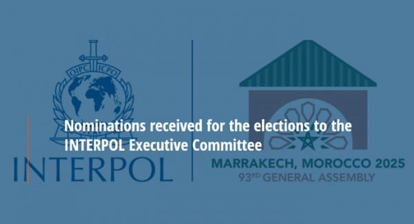 During the 93rd session, an elected executive committee is proposed